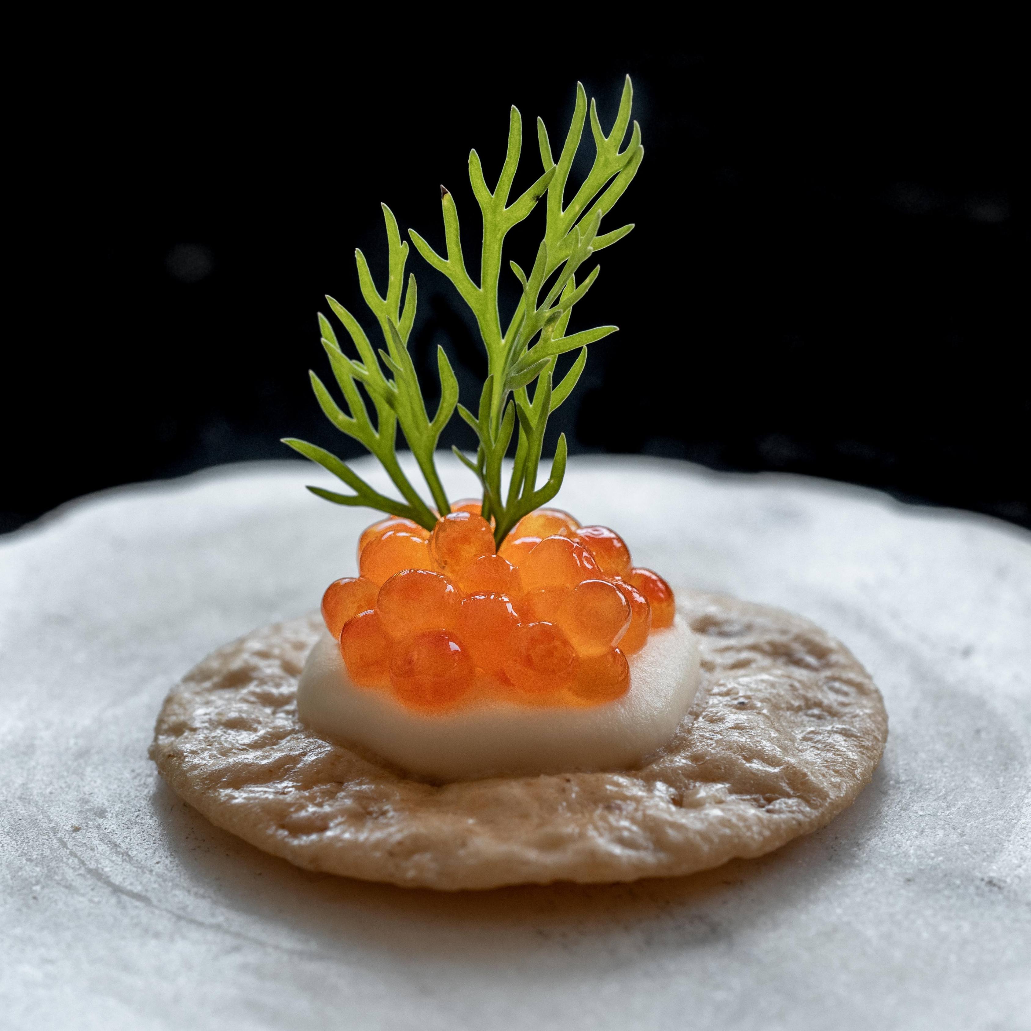 Perishable - Trout Roe