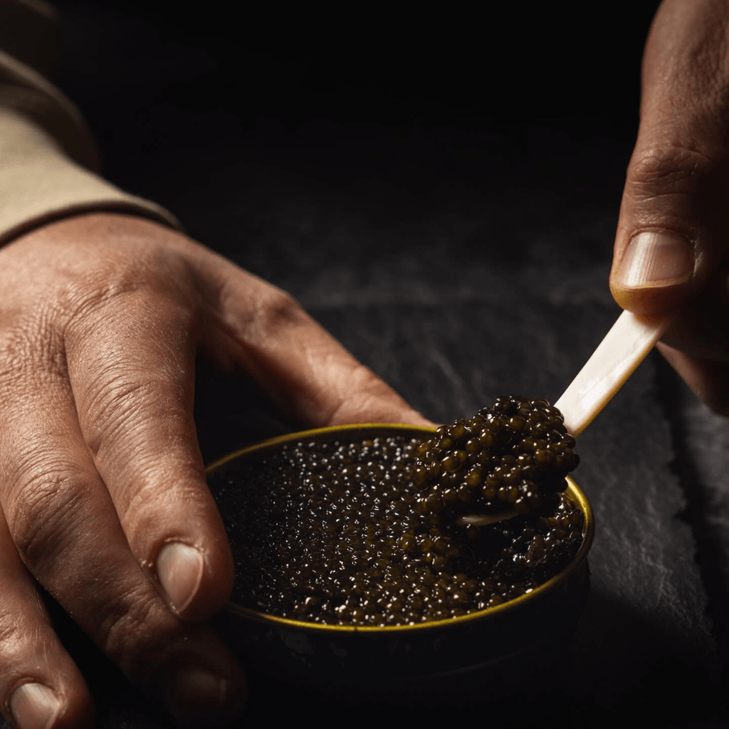 Caviar Tips + Tricks - The Caviar Co.