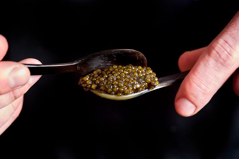 Join our caviar club membership today