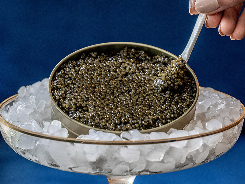 Reach out to our Caviar Concierge for any questions