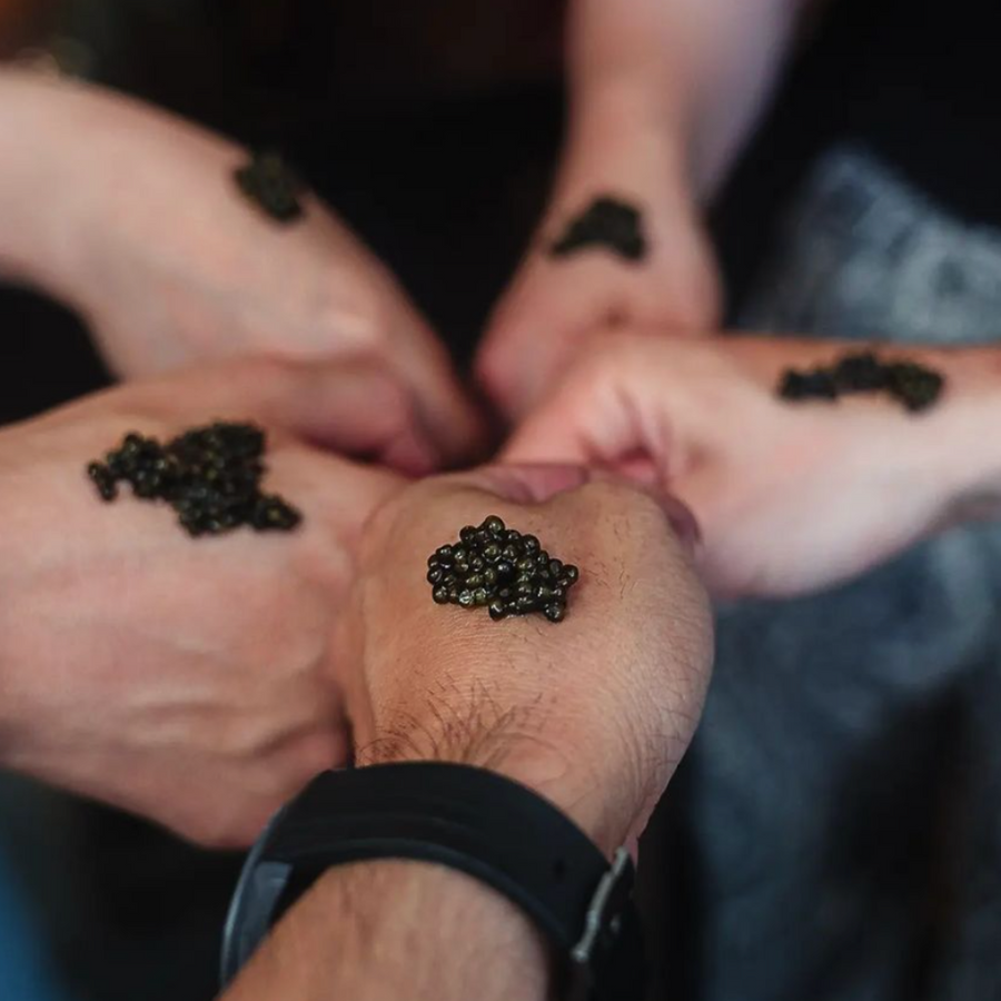 NATIONAL CAVIAR DAY – TIBURON CAVIAR CRAWL 2023 – The Caviar Co., image size:900x900