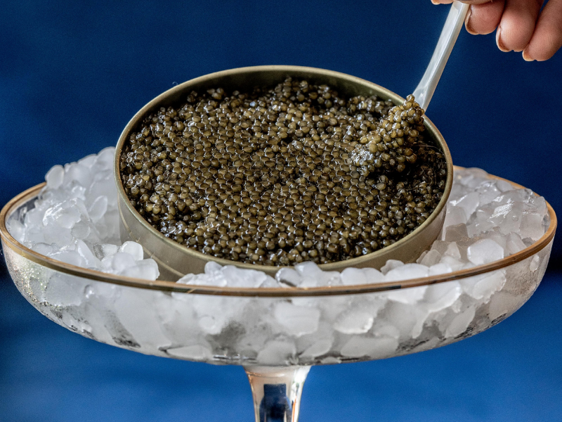 Book a Private Caviar Tasting