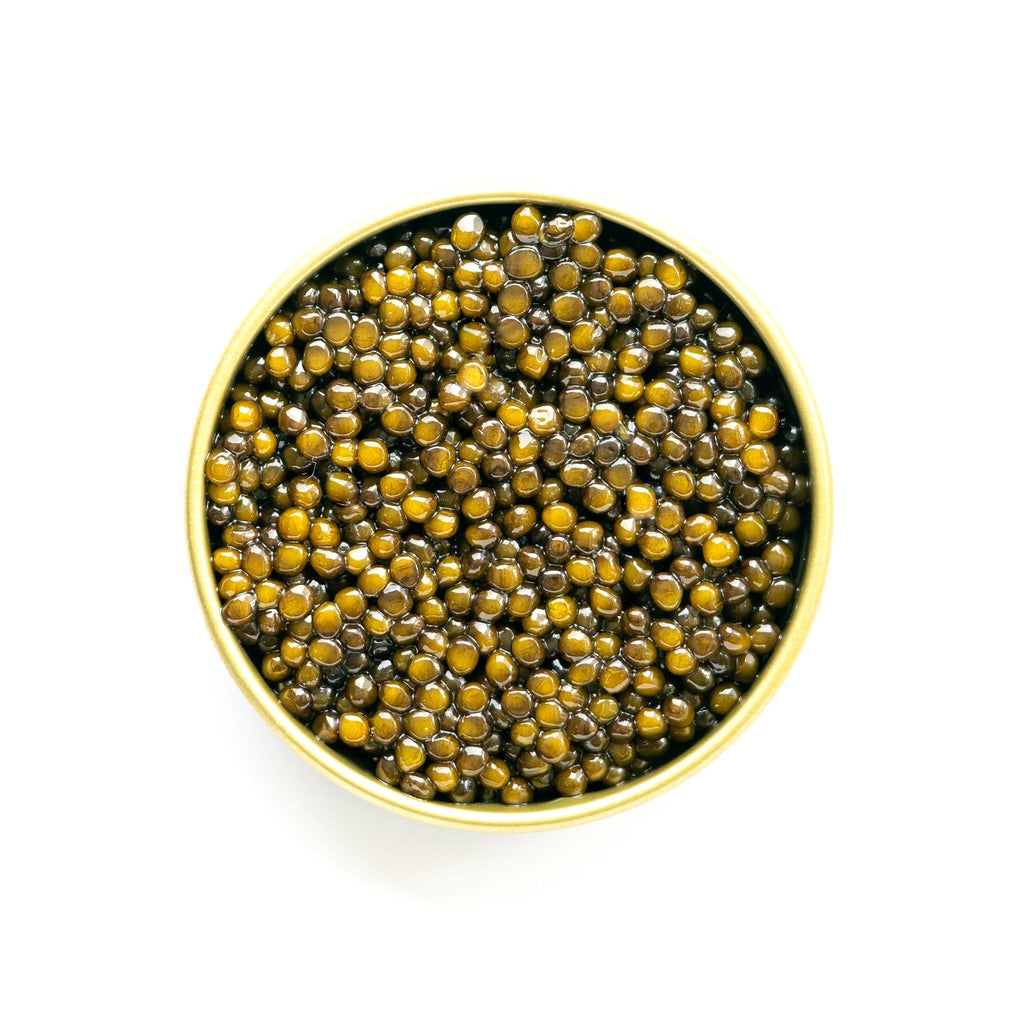 Caviar - Kaluga Hybrid Caviar