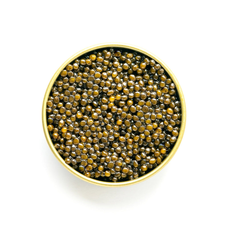 Caviar - Russian Osetra Caviar