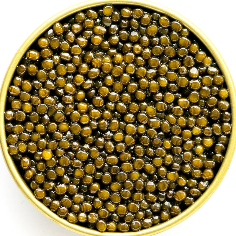 Caviar - Special Edition Harwell Godfrey Imperial Golden Osetra Caviar