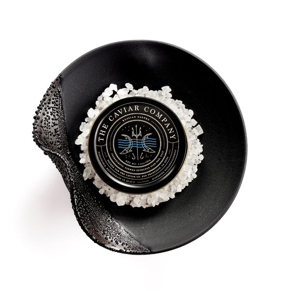 erin-hupp-x-the-caviar-co-
