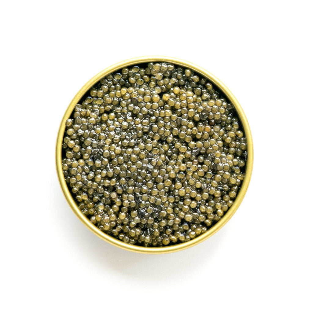 Caviar - Paddlefish